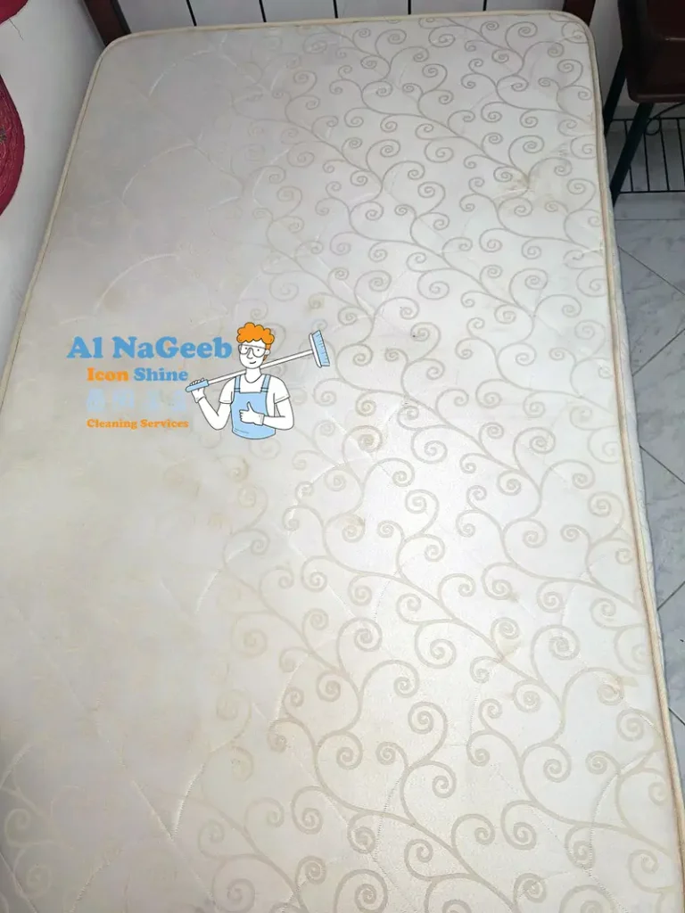 تنظيف مفروشات - نظافة مفروشات - تنظيف عميق - تنظيف شاليهات - شركة نظافة - النجيب ايكون شاين - النجيب للتنظيف - خدمات تنظيف