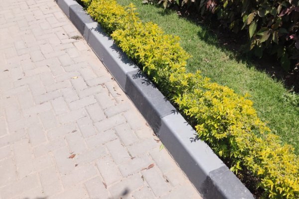 تقدم شركة النجيب خدمات لاندسكيب متنوعة تشمل التصميم البستاني وتنسيق المساحات الخضراء والحدائق، وتنسيق الأشجار والنباتات والزهور بطريقة جميلة ومتناسقة. تعتمد الشركة على فريق من المصممين المحترفين والمهندسين المعماريين المتخصصين في مجال اللاندسكيب، الذين يعملون على تحويل الأفكار والرؤى إلى واقع ملموس.