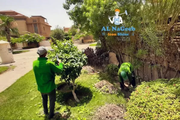 تنسق حدائق - لاندسكيب - لاند سكيب - تشجير - تنسيق حدائق منزلية - تنسيق حدائق فلل - شركات تنسيق حدائق - اعمال لاندسكيب - لاندسكيب حدائق - شركة النجيب لتنسيق الحدائق
