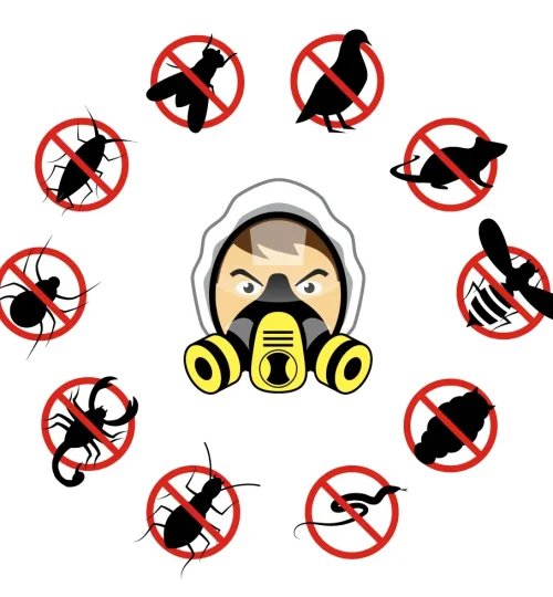 شركة النجيب - خدمات المكافحة - مكافحة الحشرات - مكافحة الحشرات الزاحفة - مكافحة الحشرات الطائرة - رش مبيدات - مكافحة الحشرات الطائرة - مكافحة الحشرات الزاحفة - مكافحة الآفات - مكافحة الزواحف - مكافحة الذباب - مكافحة الناموس - مكافحة الصراصير - مكافحة القوارض - مكافحة الفئران - شركة مكافحة حشرات