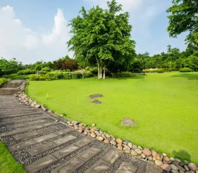 اعمال لاندسكيب - شركة النجيب لتنفيذ اعمال اللاند سكيب - خدمات اللاند سكيب - خدمات لاندسكيب - خدمات حدائق - خدمات تشجير - اعمال تشجير - خدمات تنسيق حدائق - اعمال تنسيق حدائق