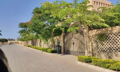 تنسيق حدائق لاندسكيب - لاندسكيب - تنسيق حدائق - اعمال تشجير - التجيب