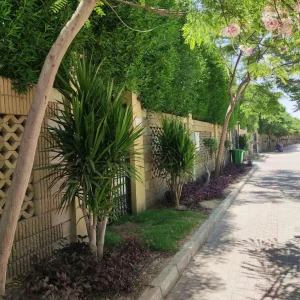 تنسيق حدائق لاندسكيب - تنسيق حدائق - لاندسكيب - لاند سكيب - اعمال تشجير - النجيب