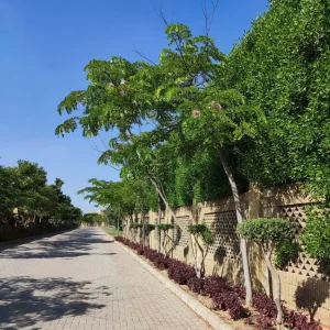 لاندسكيب تنسيق حدائق - تنسيق حدائق - لاندسكيب - لاندسكيب - توريد شتلات - توريد اشجار - تنسيق حدائق لاندسكيب