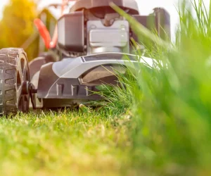 متابعة الحدائق - متابعة حدائق - تنسيق حدائق - لاند سكيب - حدائق فلل - ديكور حدائق